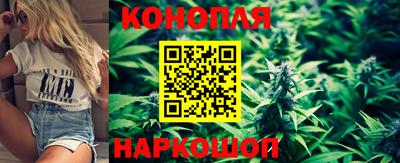 крисы Балаково