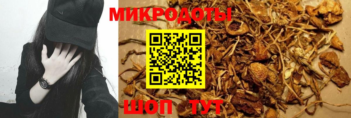 Псилоцибиновые грибы прущие грибы  Псилоцибиновые грибы мухоморы  Железногорск  Вход с VPN 