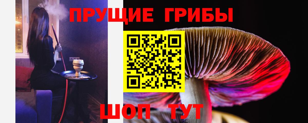 Галлюциногенные грибы GOLDEN TEACHER Железногорск